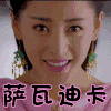 太子妃升职记 可爱 萨瓦迪卡 张天爱
