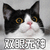 猫 萌宠 双眼无神