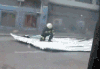 搞怪 搞笑 逗 蒙圈
