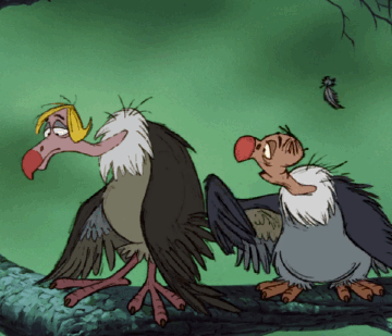 迪士尼 迪士尼的 丛林之书 迪士尼电影 秃鹫 迪士尼动画 森林王子 秃鹫
