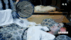 孤芳不自赏 杨颖 白娉婷 古装 影视剧情