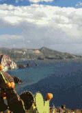 蓝天 白云 阳光 大树