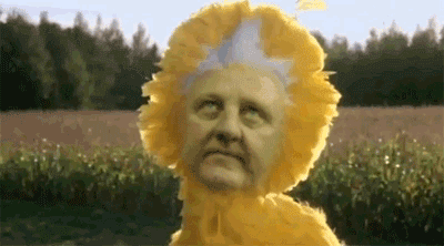向日葵 黄色娃娃 草地