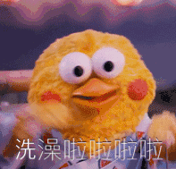 鹦鹉兄弟 洗澡啦 卖萌 撒娇