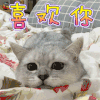 萌宠 猫咪 喜欢你 撩 soogif soogif出品