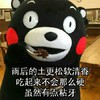 小熊 高兴 雨后 虽然有点粘牙