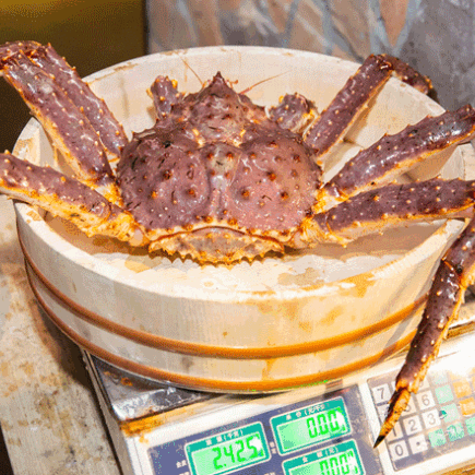 海鲜 美食 螃蟹