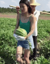 美女 捧西瓜 摇摇晃晃 搞笑