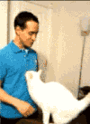 有爱…… 搞笑 动态图 图片 gif 爆笑