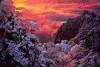 泰山 soogif soogif出品 风景