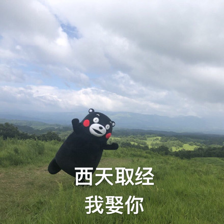 熊本熊 土味情话 西天取经 我娶你 撩