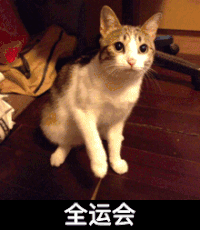 猫咪 可爱 舔一舔 全运会