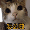 怎么啦