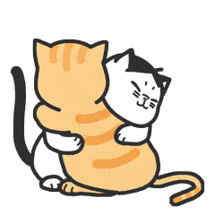 猫咪 抱抱 可爱 爱情
