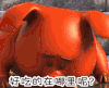 soogif soogif出品 阿唐奇遇 阿唐 小来 好吃的在哪里呢