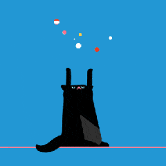 飞舞 彩球飞行 玩耍 黑猫