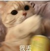 萌宠 猫星人 我丢 生气 呆萌 可爱