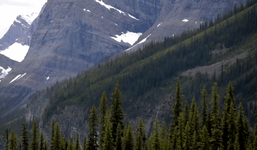 Travel&Alberta&CANADA 加拿大 山脉 树木 森林 纪录片 雪山 风景