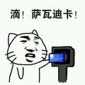 滴打卡 小猫 搞笑 滴萨瓦迪卡
