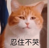 萌宠 猫星人 忍住不哭 难受 搞怪 呆萌