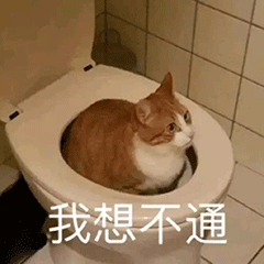 猫咪 萌宠 我想不通