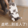 萌星人 可爱 拖着猫咪 走吧别丢人了 搞笑