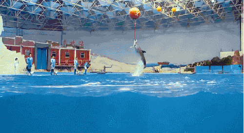 海洋馆 海豚 表演 跃水