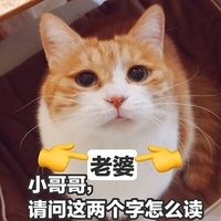 请问这两个字怎么读 猫咪 大眼睛 可爱