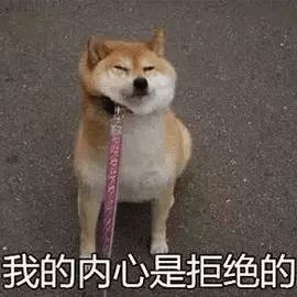 内心 拒绝 柴犬