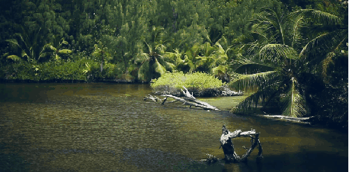 Paul&Wex 塞舌尔群岛 河水 热带雨林 纪录片 风景