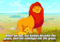 迪士尼 狮子王 生命的循环
