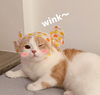 萌宠 猫星人 wink 爱你 呆萌 可爱