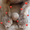 萌宠 猫星人 把你捧在手心里 我和你 呆萌 可爱