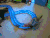 宠物 恶搞 貂星 搞笑 喵星人 萌 gif