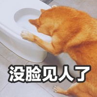 萌宠 汪星人 没脸见人了 丢人 呆萌 可爱