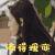 谁都渴望遇见你 章若楠 懒得理你 哼 生气 搞怪 逗
