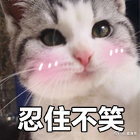 喵星人 萌宠 可爱 逗 文字表情包