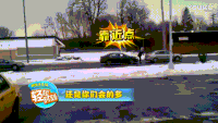 马路 汽车 雪地 大树