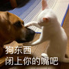 萌宠 猫星人 狗东西 闭上你的嘴吧 呆萌 可爱