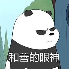 熊猫 生气 愤怒 和善的眼神