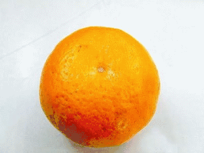 橘子 橘皮 搞笑 水果 营养 橘皮小人