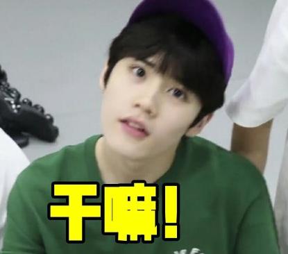 TF家族 小哥哥 可爱 文字表情包 搞笑