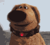 狗狗 微笑 萌化了 卖萌 smile