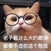萌宠 猫星人 我戴这个大的眼睛 看不透你这个憨逼 呆萌 可爱