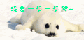 萌宠 萌宠爱搞笑