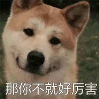 厉害 柴犬 搞怪 逗