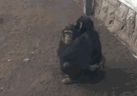 搞笑 逗比 有趣 厉害
