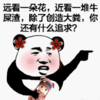 远看一朵花 近看一堆牛屎渣 恶搞 创造大粪