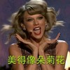 开花 漂亮 气质 迷人 美得像朵菊花