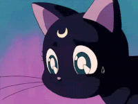 动漫 童年回忆 愉悦 黑猫